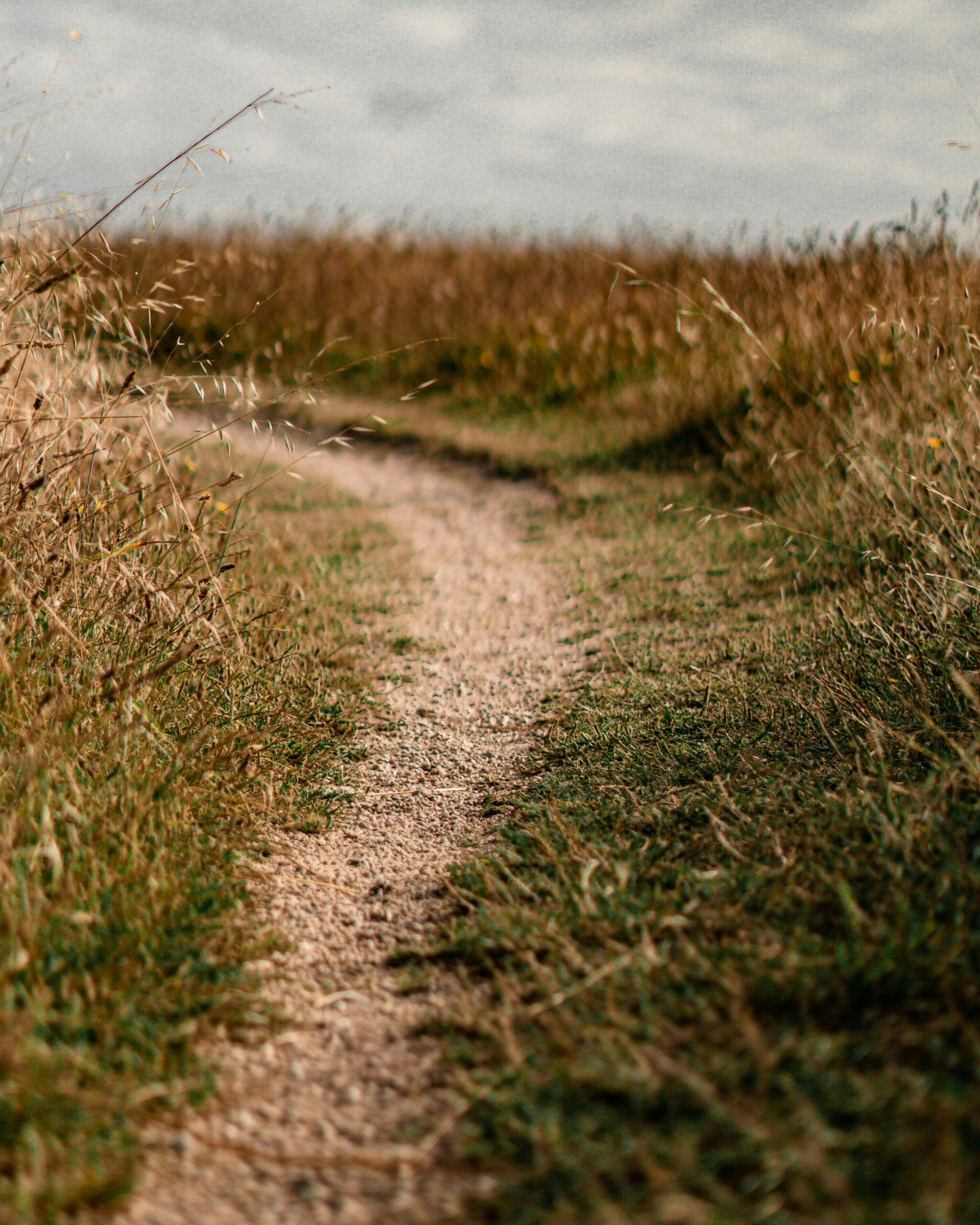 one-to-one-session-for-cfs-me-burnout-recovery-journey